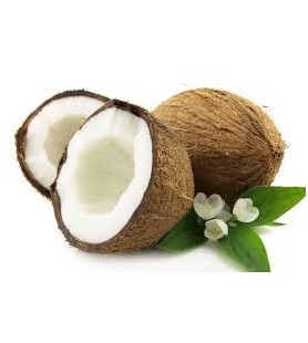Argan solid Shampoo Coconut...
