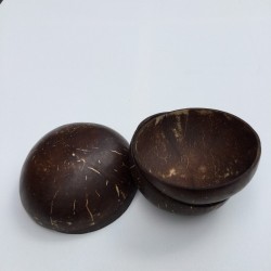 Coconut Bowl